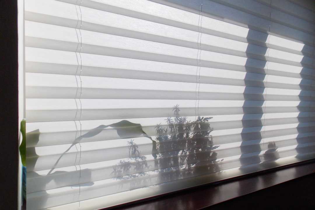 Honeycomb Blinds Perth